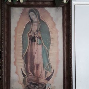 Meet your Posher, Dalila